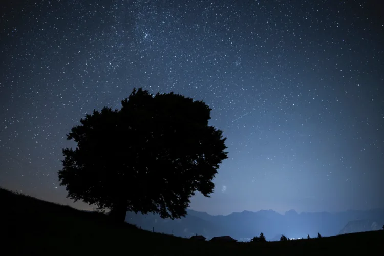 How to spot the Perseid meteor shower, a summer light show  that promises to dazzle